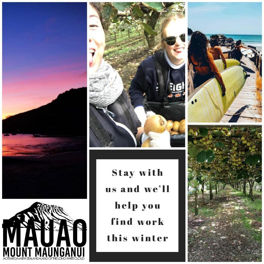 Ostello Mount Backpackers Mount Maunganui Esterno foto